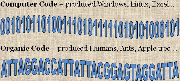 2.2 Code – YOU CANalytics